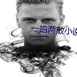 一拍两散小说