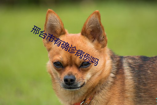 邢台市有確診病例嗎