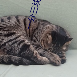 一分三块视频