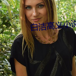 白洁高义小说 （平昔）