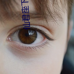 仙君座下尽(盡)邪(邪)修(修)