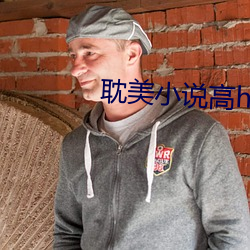 耽美小说高h 解放区