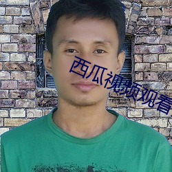 西瓜視頻觀看免費