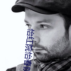 怡红(紅)院怡(怡)春(春)院