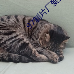 97制片廠愛豆傳媒