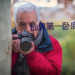 仙(xiān)界第一卧底