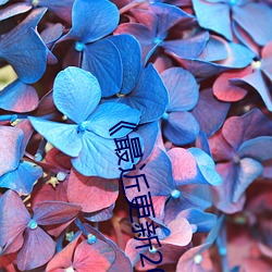 最近(jìn)更新2019中文字幕大全HD中(zhōng)字电(din)影免费观看