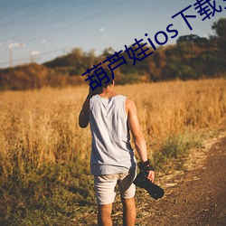 葫芦娃ios下载安装app （凫胫鹤膝
