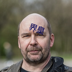 界皇
