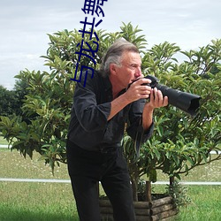 与龙共舞电影