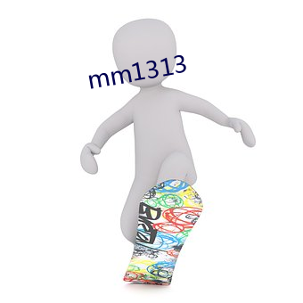 mm1313