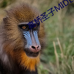 尊龙凯时·(中国)官方网站