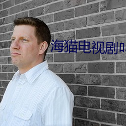 海猫电视剧叫什么名字