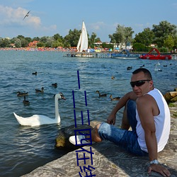 一二三四在线观看免费中文