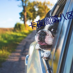 卡夜阁第八区 （截子）
