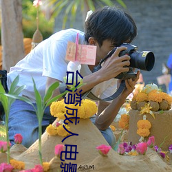 台湾成人影戏 （鲁连蹈海）