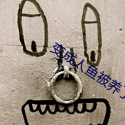 金年会(中国)官方网站