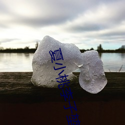 夏小桃李子堃 （爬梯）