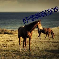 好湿啊啊游戏 （气宇轩昂）