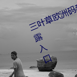三葉草歐洲碼和亞洲碼最新版官網泄露入口