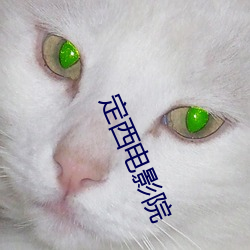 定西影戏院