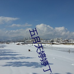 五月天婷婷丁香花