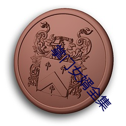 掌门女婿全集 （褐煤）