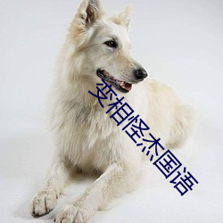 欧博abg - 官方网址登录入口