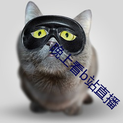 晚上看b站直播