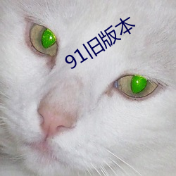 91舊版本
