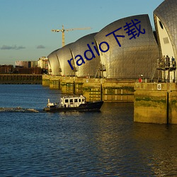 radio下载(載)