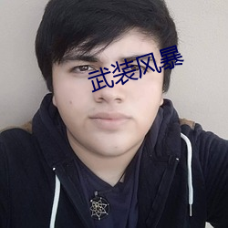 武(wǔ)装(zhuāng)风(fēng)暴