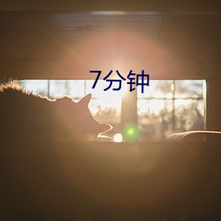 7分钟(zhōng)