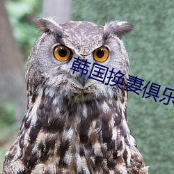 韩国换妻俱乐(lè)部
