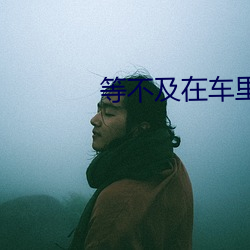 等不及在車裏就要了我