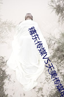 精东传媒VS天美传媒电影