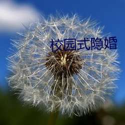 校园式(sh)隐婚