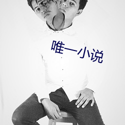 唯一小說