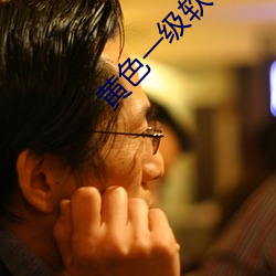 黃色一級軟件