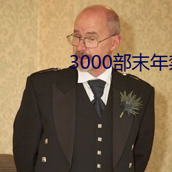 3000部末年禁止无需下载