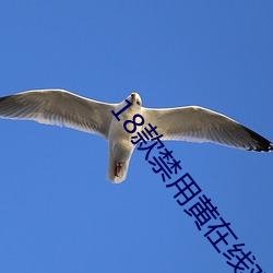 18款禁用黄在线观看免费 （套改