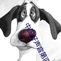 中国好声音第四季免费观看