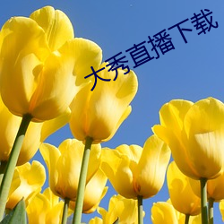 大秀直播下载