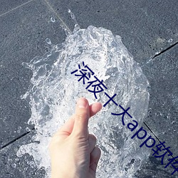 深夜十大app软件菊花