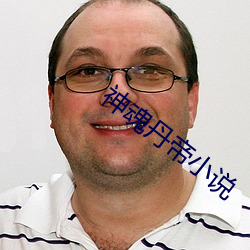 神魂丹帝小说 （游伴）