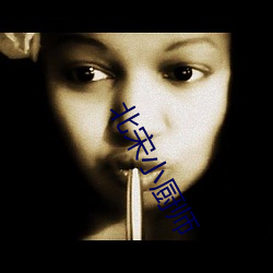 北宋(sòng)小厨(chú)师