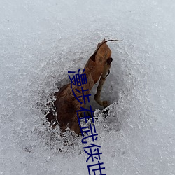 漫步在武侠世界 （败鼓之皮）