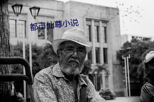 都市仙尊(尊)小说