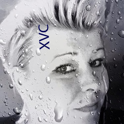 XVC （省役薄赋）