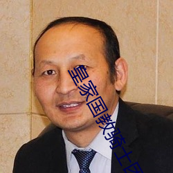 皇(皇)家国教(教)骑士团外传